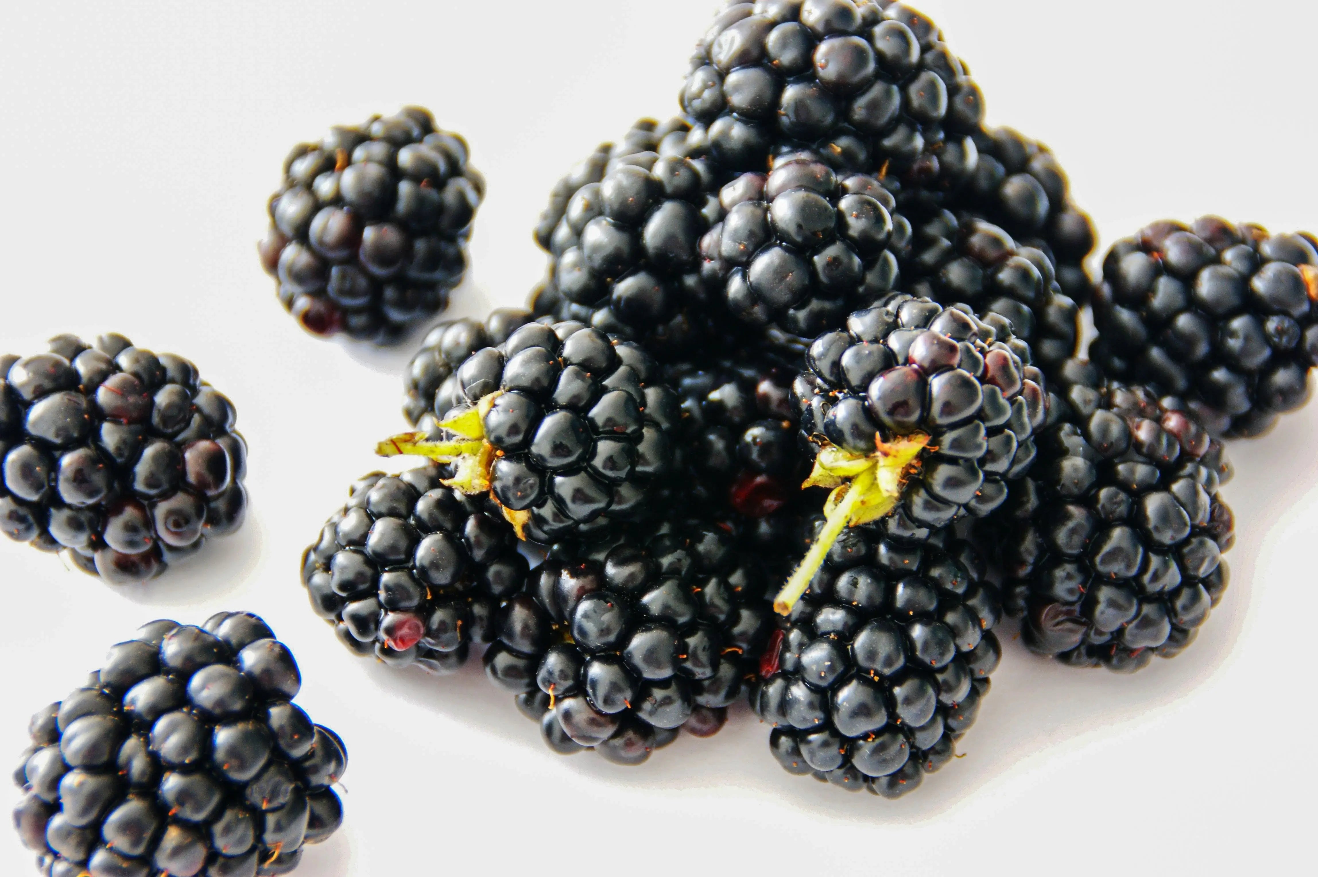 antioxidants 